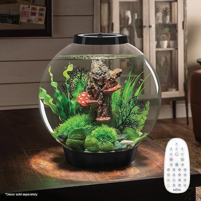 biOrb Classic 30 Acrylic 8-Gallon Aquarium with Multi-Color Remote-Controlled LED Lights Modern Tank for Tabletop Display, Black