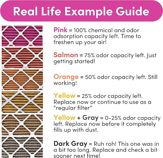 Colorfil 20x30x1 Air Filter (4-Pack) | Made in the USA | Color Changing | Remove Cat and Dog Odor | MERV 8 for Pet Hair Dander and Dust | 19.75"x29.75"x0.75" Exact Size