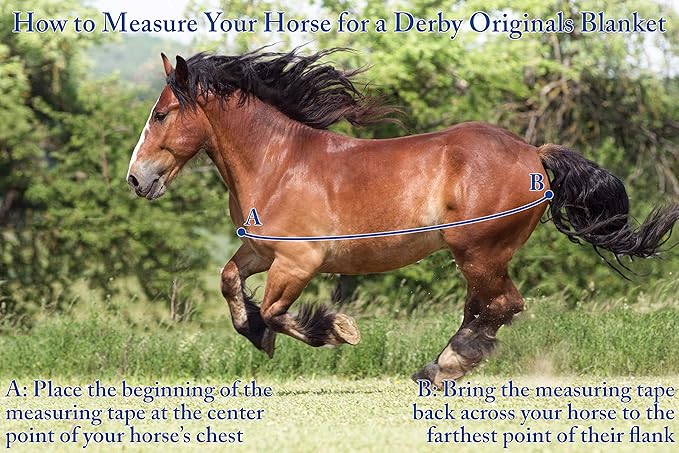 Derby Originals Nordic-Tough 1200D Heavyweight Mini Horse & Pony Turnout Blanket – Waterproof, Breathable, 300g Insulation, 210T Lining, Reflective, 2-Year Warranty (Turquoise, 56")