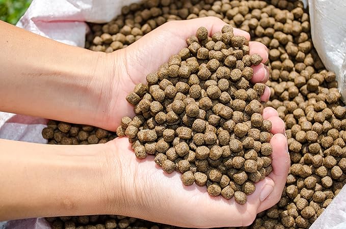 | Premium Floating Fish Food | Pond and Lake | Pellets | 2 Pounds