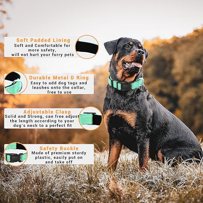 2 Pack Reflective Dog Collar with Safety Locking Buckle, Adjustable Soft Breathable Comfortable Nylon Pet Collar for Small, Medium and Large Dogs, Turquoise, XS