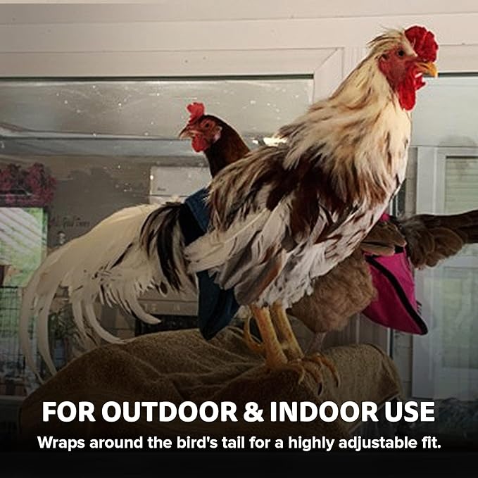 Hen Holster Wrap-Around Bird Diaper & Harness for Hens, Roosters, Ducks, Geese - with Removable Vinyl Liner, Adjustable Fit for Outdoor Adventures & Indoor Use - Easy to wear - XL, Tiger