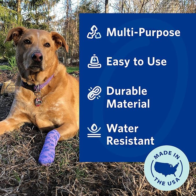PetFlex Pet Pack – Flexible Self-Adhering Elastic Bandage for Wound Care – First Aid Wrap for Small Animals Like Dogs, Cats, and Other Pets - 2 inch, 6 Rolls
