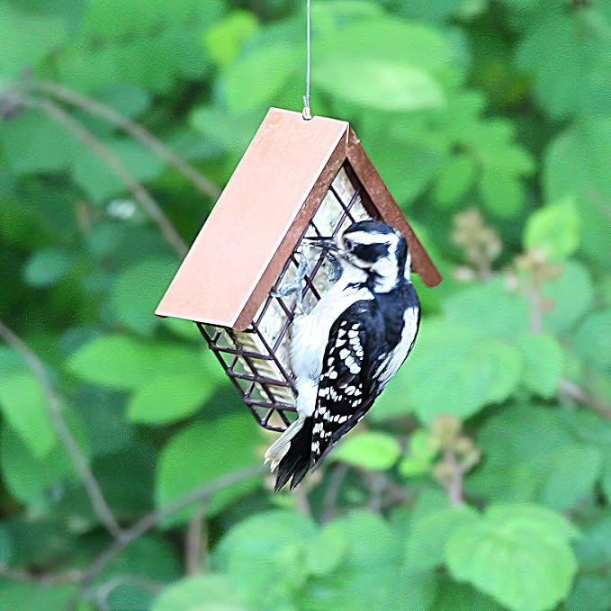 Lyric Fine Tunes No Waste Wild Bird Seed Suet Cakes for Wild Birds, 12 oz. (12 Pack)